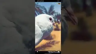 وليد الدواس مع ابواحمد واللوك الثلجي😂😂