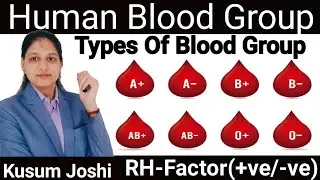 Human Blood Group ll Type Of Blood Group ll RH-Factor(+ve/-ve) ll In Hindi ll #bloods #bloodgroup