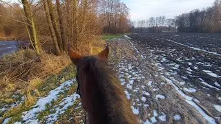 Koń pierwszy raz mnie niósł | Pierwszy trening świadomego dosiadu
