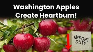 Why Are Indian Apple Growers Upset Over Lower Import Duty On Washington Apple?