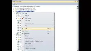 CodeRush Classic - Collapse To Projects