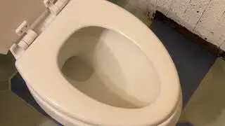 Our Whistling Toilet