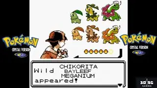 Caught 152 to 154 Shiny Chikorita, Bayleef & Meganium | Pokemon Crystal