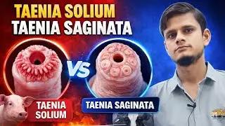 Difference between Taenia Solium and Taenia saginata #veterinaryscience @KhanSirPatnaKhanGs 