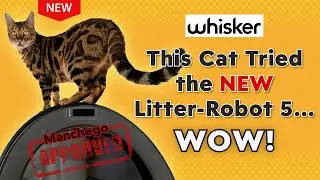 This Cat Tried the NEW Litter-Robot 5&hellip; and WOW!