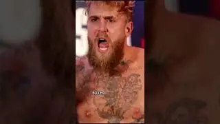 Joe Rogan SLAMS Jake & Logan Paul Over Fake Fights and Boxing Circus