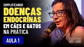 SIMPLIFICANDO ENDOCRINOPATIAS EM CÃES E GATOS NA PRÁTICA - WORKSHOP ENDOCRINOVET - L3