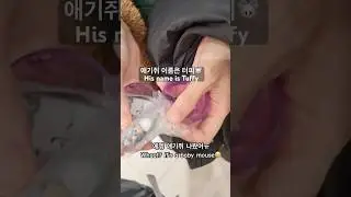 Tom and Jerry Blind Box🐭 Tuffy Baby Mouse?! | 톰과제리 가챠 터피