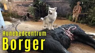 Expositie Hunebedcentrum Borger