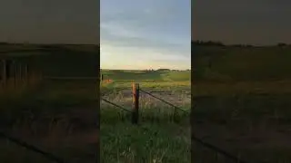 Horseback at Sunset with the Bison Herd 🌅🦬