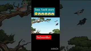 story of a Brave Bird 🐦#birds#motivation #trendingshorts #ytshorts #viralshort popular in the world