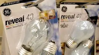Trump administration blocks energy efficiency rule for light bulbs