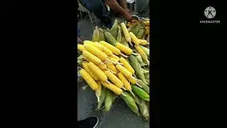 Mussoorie Tour Plan & BUDGET | Delhi to Mussoorie Trip Guide |Mussoorie Tourist Places Food Series2