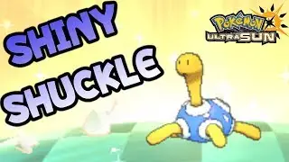 Shiny Shuckle - Masuda Method 82 Eggs Pokemon Ultra Sun