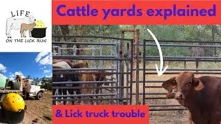 Cattle Yards on the Lick Run
