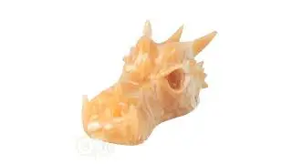 Calciet drakenschedel 778 gram - Draak van Oranje Calciet