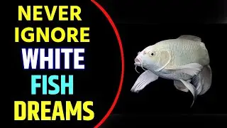 What does White Fish Dream Meaning | Dreaming of White Fish | White Fish Dream Interpretation