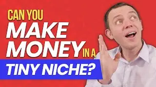 Can You Make Money in a Small or Tiny Niche