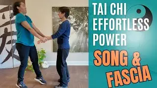 Tai Chi Effortless Power: Understanding Song and Fascia
