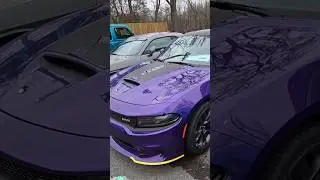 Plum CRAZY Purple Hemi Daytona