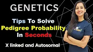 Tips to solve Pedigree Probability Questions In Seconds I X linked And Autosomal Trait.