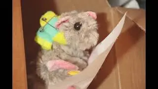 Art-Rat | Animation Short Film (2023)