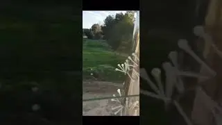 Police in Marbella open fire during pursuit of three men