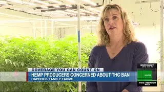 Hemp producers concerned about THC ban, how it could affect business