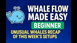 Whale Flow Made Easy: Beginner Unusual Whales Recap of This Week&rsquo;s Setups