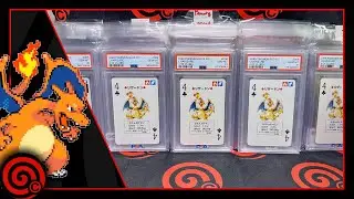 100K CELEBRATION CONTINUES - OP13 ENGLISH ARRIVES - LIVE CARD SHOP