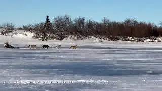 Akiak Dash musher