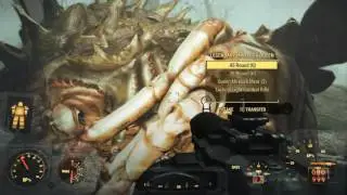Fallout 4, Far Harbor, тайник Димы