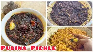 నోరు ఊరించే పుదీన నిల్వ పచ్చడి 😋 How To Make Pudina Pickle Recipe In Telugu     