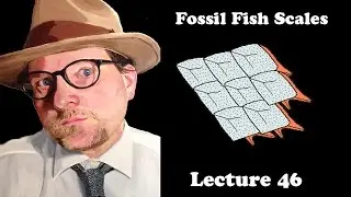 Lecture 46 Fossil Fish Scales