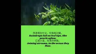 Rain is Tears of Sky By WSJ
