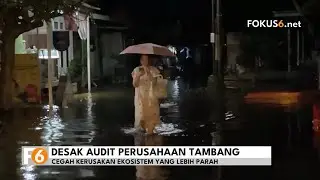 WALHI Kalsel Nilai Banjir Merupakan Bencana Ekologis, Pemerintah Diminta Audit Perusahaan Tambang