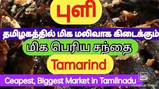 Puli || Tamarind || Biggest Market in Tamilnadu || Kirishnagiri || Dindigul