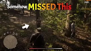 Only Careful Players See These RDR2 Rare MOMENTS!🤔
