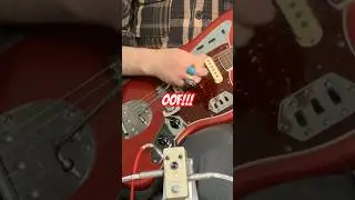 Fuzz Pedal Shootout 🎸 #shoegaze #fuzzpedal #pedalboard