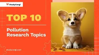 TOP-10 Pollution Research Topics