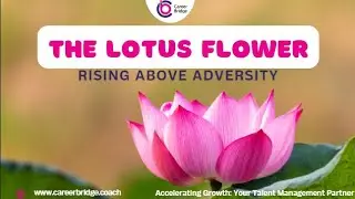 The Lotus Flower | A Symbol of Resilience and Rebirth | Inspirational Journey