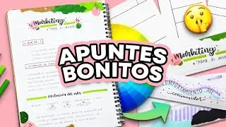 APUNTES BONITOS!! 5 pasos ✨ (Retículas, títulos bonitos, colores) ✄ Barbs Arenas Art!