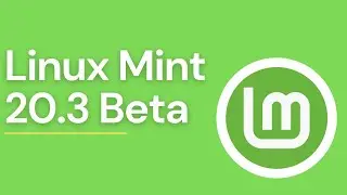 Lan&ccedil;amento Linux Mint 20.3 Beta