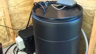 Hydroponic System Test