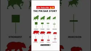 Pin Bar Candlestick Pattern Trading Strategy 📈 @The_trading_banker #stockmarket #chartpatterns