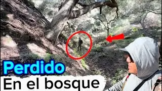 Perdido en el bosque Monta&ntilde;a 🥹