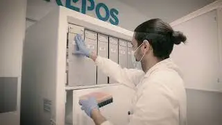 Grupo Servicio M&oacute;vil. V&iacute;deo Corporativo