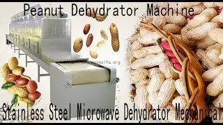Peanut Dehydrator Machine ，Stainless Steel Microwave Dehydrator Mechanical