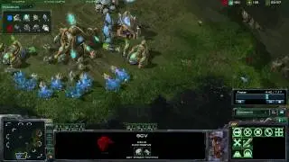 StarCraft 2 - [P] Immortal Response to Marauders - Strategy