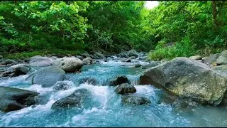 Relaxing River Sounds for Deep Sleep Calming Water Ambience Stress Relief All Night